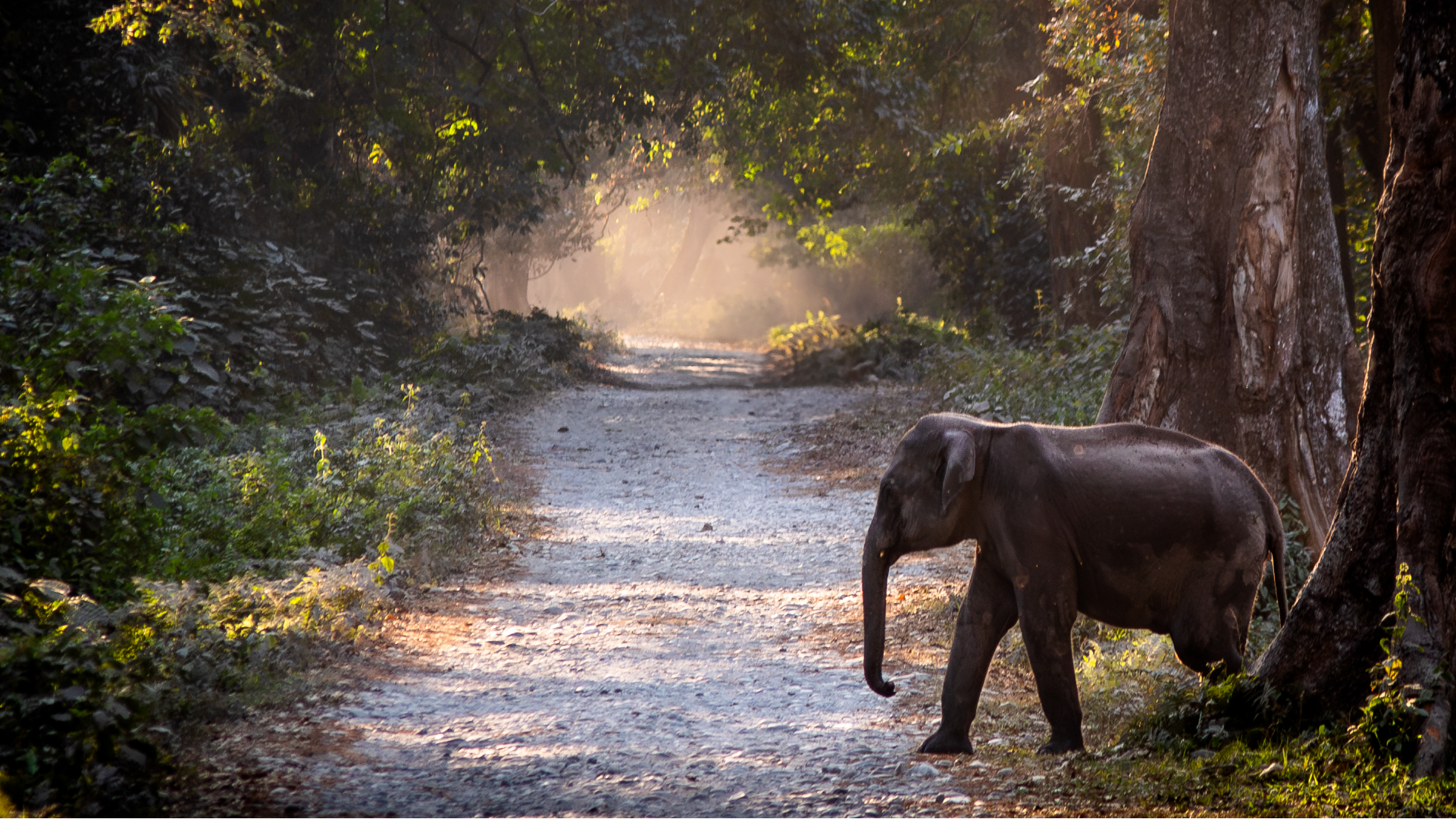 Lightroom Classic の 2024年5月リリースの新機能の概要
